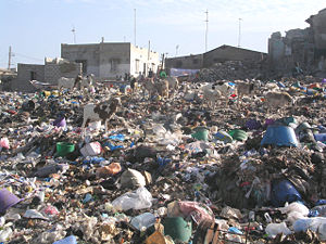 Décharge de Yoff à Dakar (Sénégal). Les animaux mangent une grande part de la matière organique consommable, mais les déchets contiennent de plus en plus de matières non biodégradables et/ou toxiques