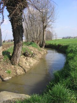 Certains fossés ont une fonction d'irrigation (ici en Italie)