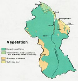Carte très grossière des grands types de végétation en Guyane
