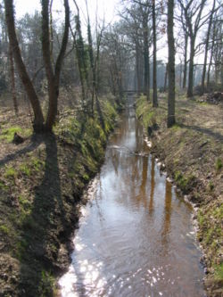 La plupart des fossés ont une fonction de drainage