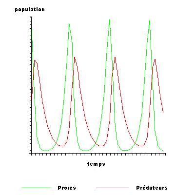 Image:Évolution des populations au cours du temps.jpg